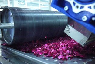 全面革新 探秘嘉華食品“花工廠”技術(shù)升級之道